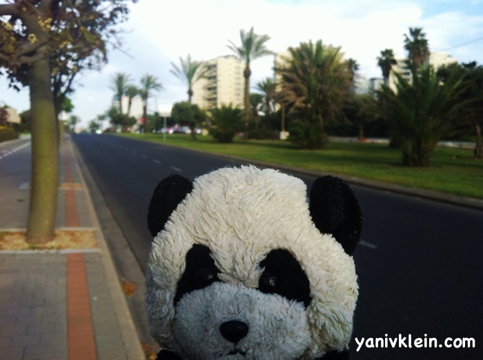 So clean! 2013/03/avenue.jpg