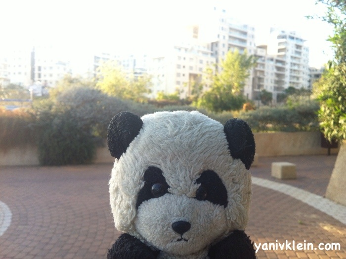 No more stabilizer for me! 2013/03/motionwellness.jpg