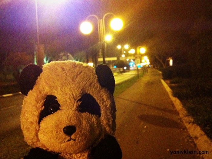 So fragile, so furry. 2013/03/pandastreet.jpg