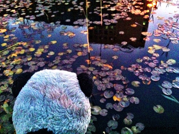 But I can see tadpoles.. 2013/03/reflectionless.jpg